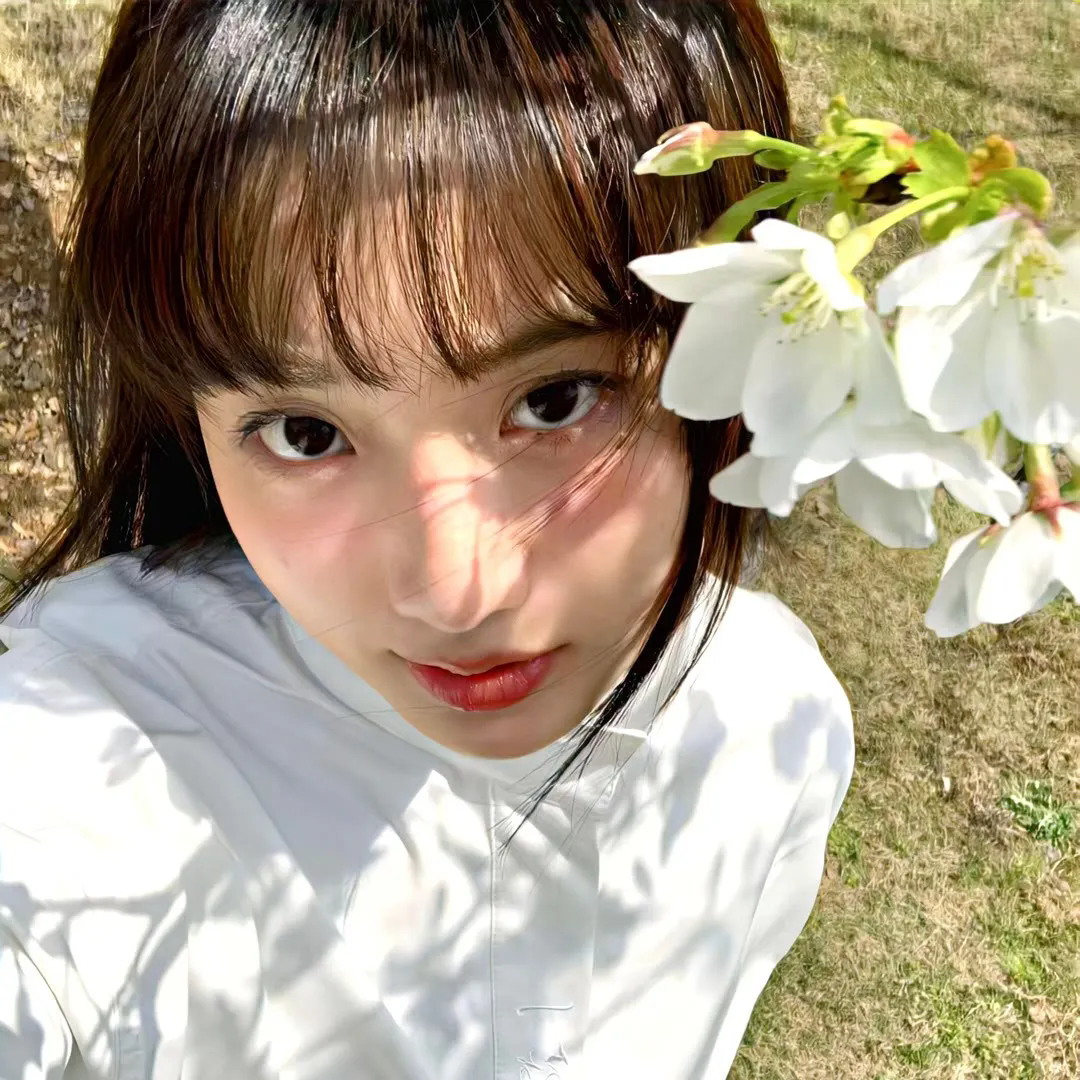 烽火四月芳菲尽